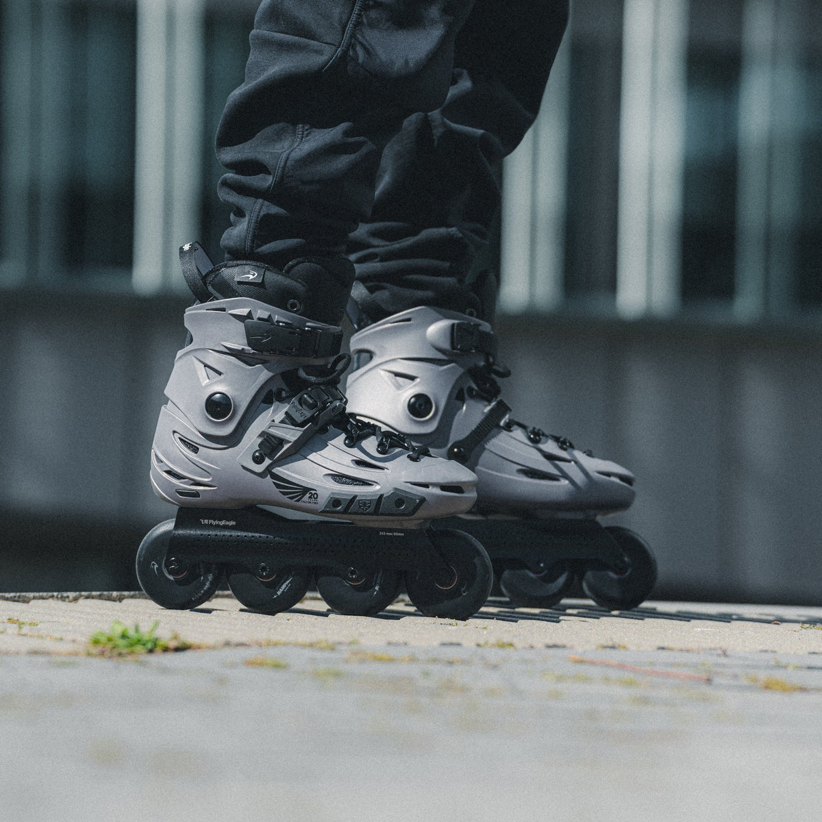 Patines FALCON F6S PRO